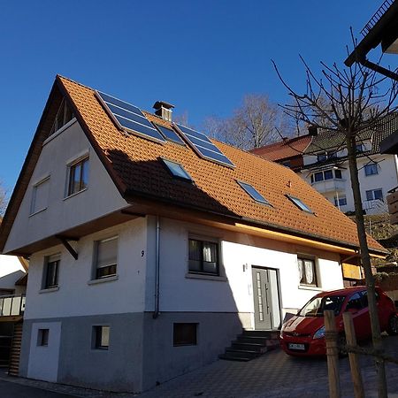 Ferienwohnung Bohnert-Arias Bad Peterstal-Griesbach Dış mekan fotoğraf